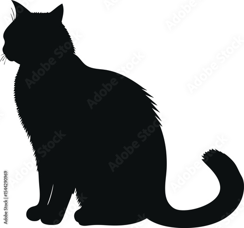 black cat vector illustration
