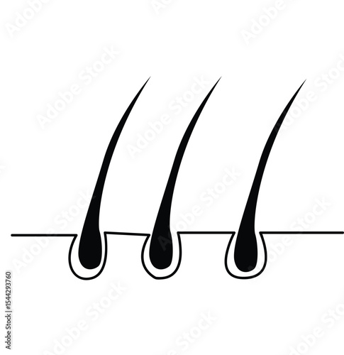 hair icon.Hair icon and symbol design. Hair on human skin 