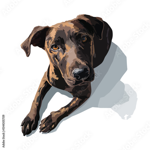 dog isolated in White Background, dog vector, Flat lay vector illustration