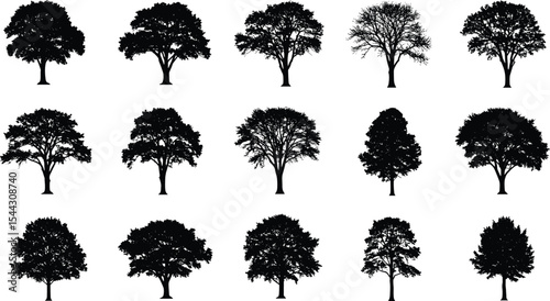 Various tree silhouettes in black vector illustration, forest elements set, deciduous nature design, isolated natural shapes for landscaping artwork