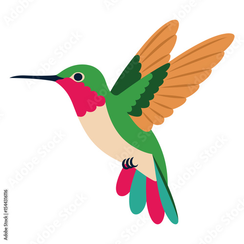 Colorful hummingbird vector art illustration