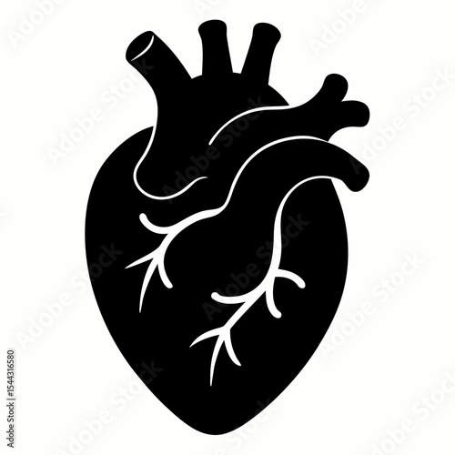 Anatomical heart icon vector on white background.