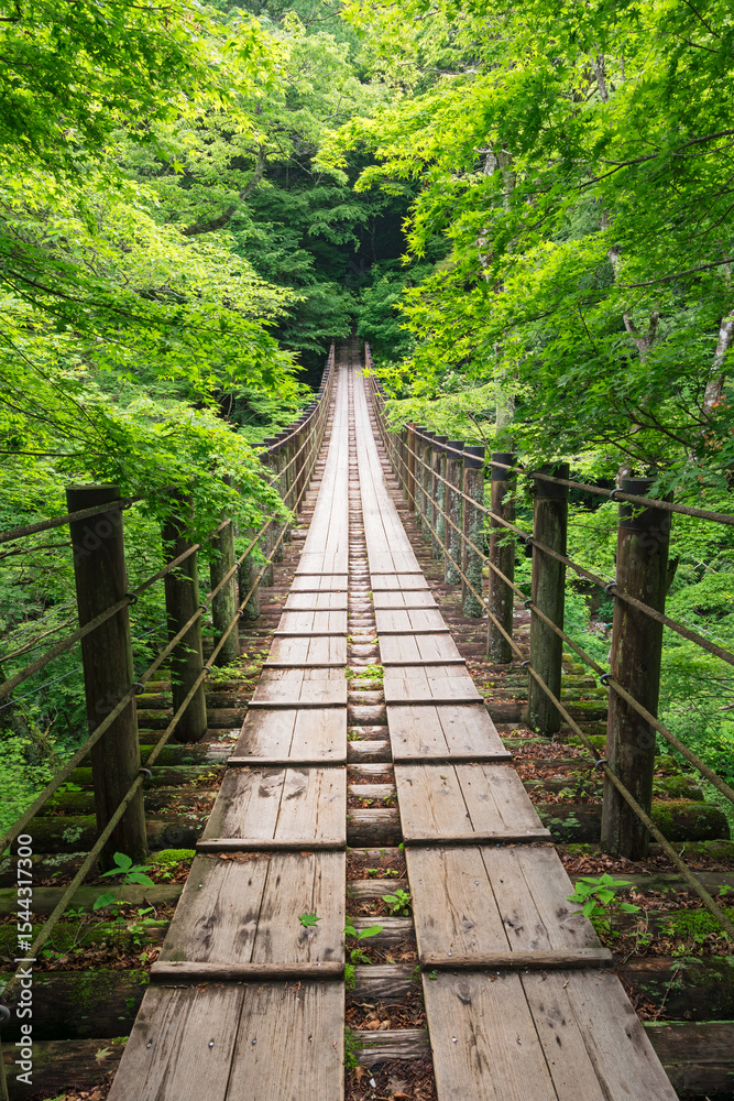 Obraz premium 花貫渓谷汐見滝吊り橋