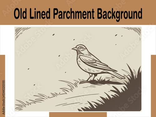 Old Lined Parchment Background