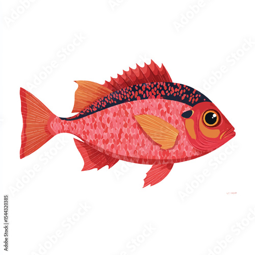 fish isolated in White Background, fish vector, Flat lay vector illustration