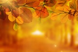 Flat design scene is showing tree branch holding autumn leaves glowing over sunlit forest path