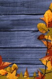 Autumn leaves and twigs are forming border on weathered blue wood planks, flat design, copy space