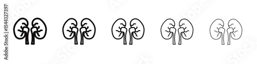 kidney icon black and white vector sign
