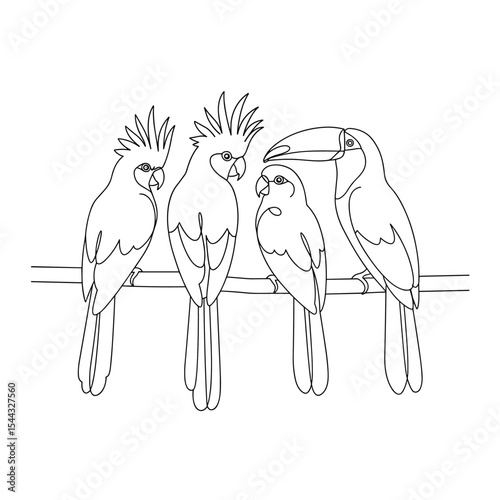 An illustration of a group cockatoo and toucan on branch