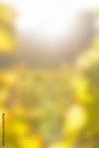 Blurry of autumn trees on a sunny day