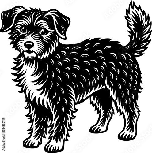black and white dog