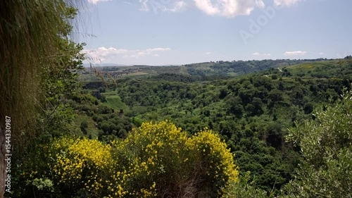 Yellow flowers, green vegetation and blue sky compose the landscape of the valley of Zungri, in Calabria