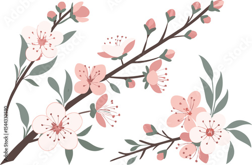 Elegant Floral Border Design Collection for Creative Use. Decorative Floral Border Design Set for Invitations. Classic Floral Border Design Pack for Print Projects. Colorful Floral Border Design Ideas