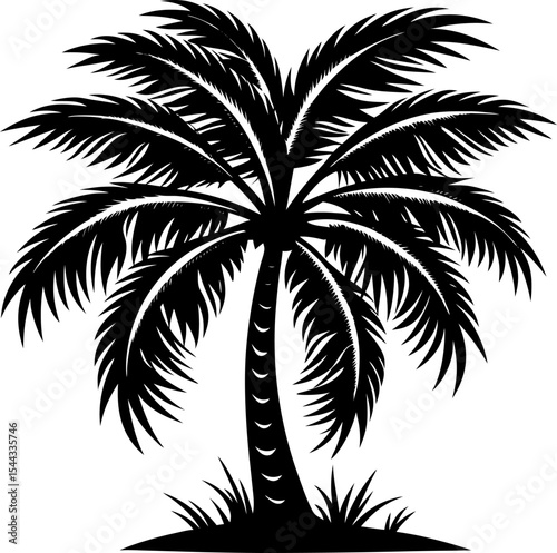 silhouette of palm trees