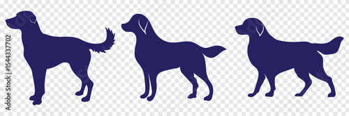 Set of silhouettes of dogs of different breeds in different poses. Set of pet silhouettes. Vector illustration. veterinary, Dog show, pet store, Isolated on white background. Variety dog silhouettes.