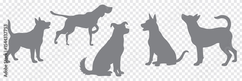Set of silhouettes of dogs of different breeds in different poses. Set of pet silhouettes. Vector illustration. veterinary, Dog show, pet store, Isolated on white background. Variety dog silhouettes.