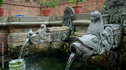 Pigeon Drinking water out of Dhunge dhara in Patan Durbar Square