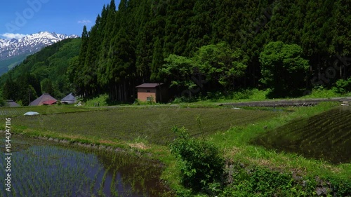 Wallpaper Mural 初夏の白馬村　青鬼集落から眺めた北アルプスと田園風景 Torontodigital.ca