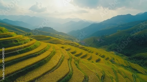 Rice Terrace Landscape in Mountains