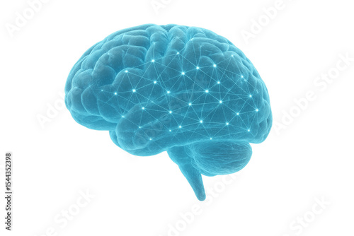 Human brain showing neural connections on transparent background