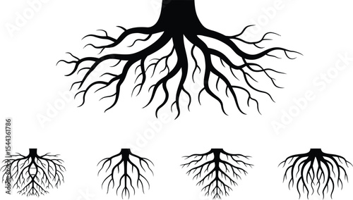 Silhouette illustration of a tree's roots growing downwards against a bright white backdrop