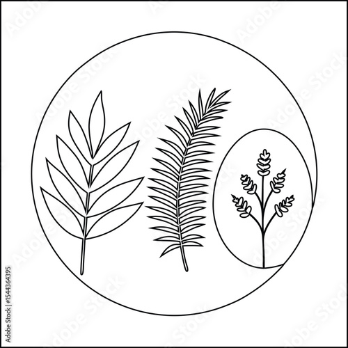 Four minimalist botanical prints floral vector designs
