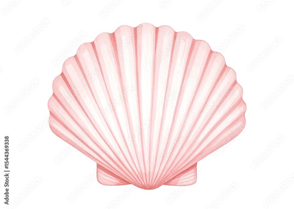 Fototapeta premium Delicate hand-drawn shell in watercolor, soft coral and ivory palette, isolated on transparent background.