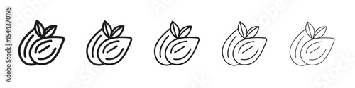 Almond icon vector outline set illustration sign