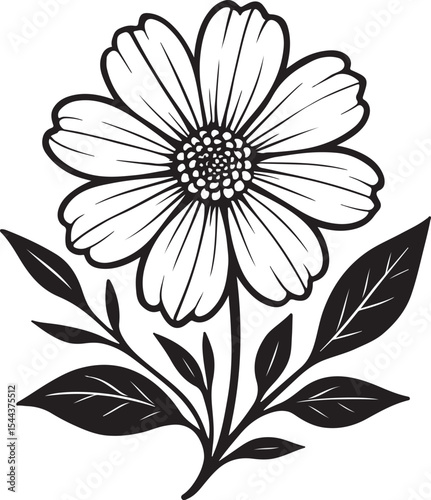 Black and White Daisy with Leaves