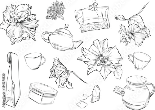 Set of hibiscus tea elements vector