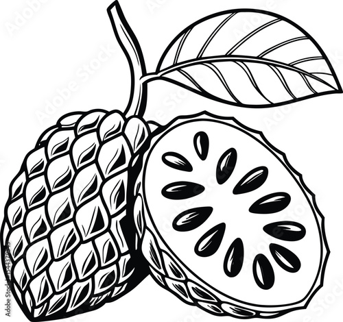 Vector illustration of fresh, ripe apples and plums with leaves, perfect for healthy food and nature designs