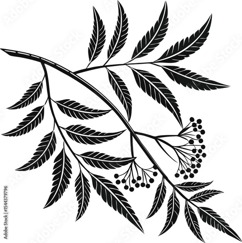 Green cannabis leaf vector silhouette for marijuana plant illustrations