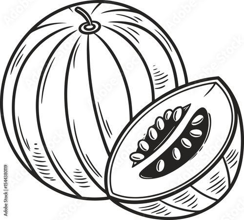 Here's a single sentence for describing the image:

Ripe melon fruit vector illustration, a fresh food design symbol on white