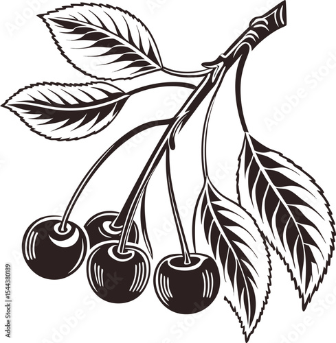 Black and white cherry and apple tree vector illustration with fruit, leaf, flower, and berry branches, perfect for nature-inspired designs