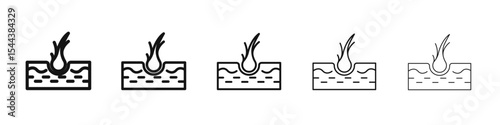 Hair Split Ends icon vector outline set illustration sign