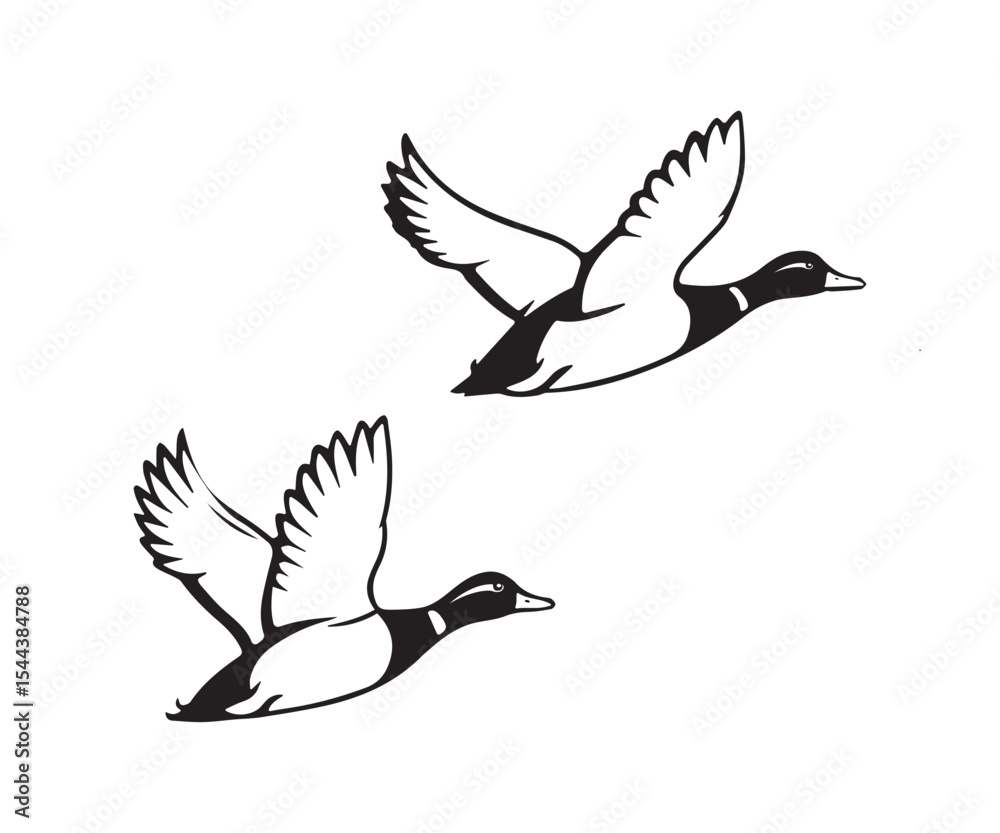 Obraz premium flying duck vector illustration, silhouette of flying duck graphic art