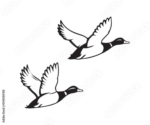 flying duck vector illustration, silhouette of flying duck graphic art