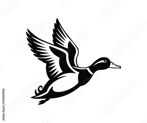 flying duck vector illustration, silhouette of flying duck graphic art