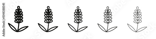 Lavender icon vector outline set illustration sign
