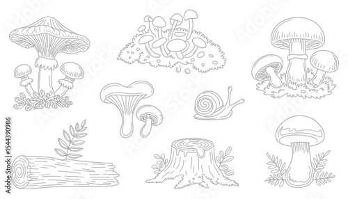 A set of hand-drawn vector illustrations featuring mushrooms and weather icons like sun, cloud, and rain symbols, perfect for nature and forecast designs