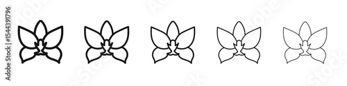 Moth Orchid flower icon vector outline set illustration sign