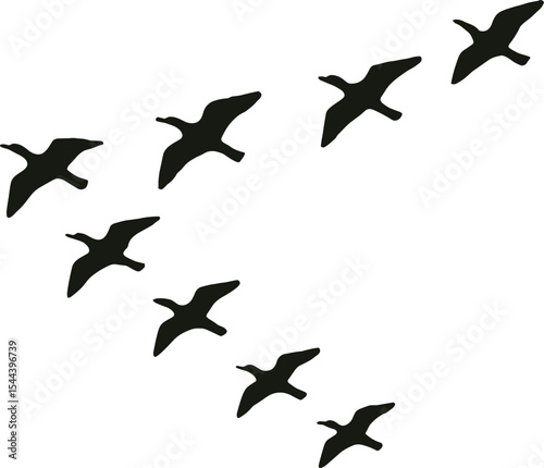 silhouette flock of birds in V-formation