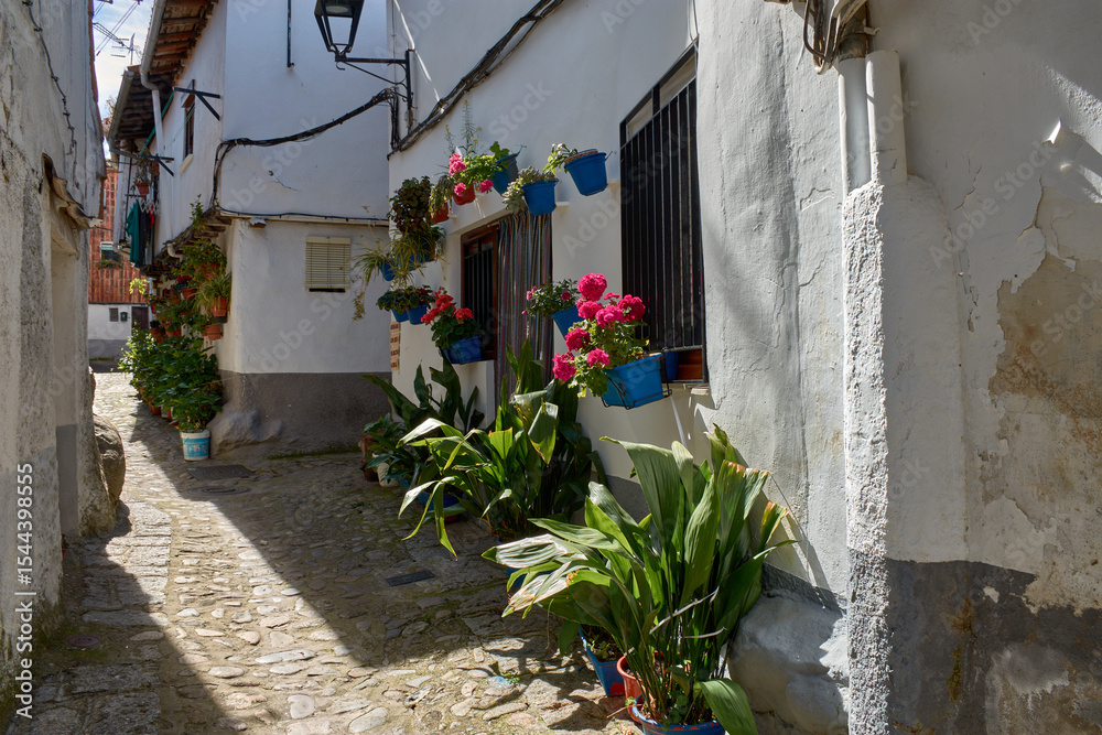 Fototapeta premium Cobbled alley in the Jewish quarter of Hervas, Extremadura, with whitewashed houses and flower pots adorning their walls