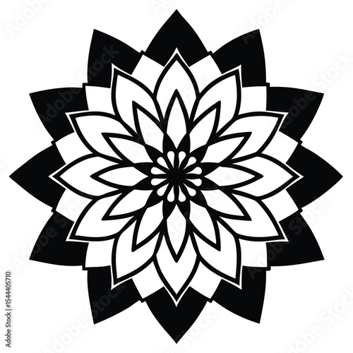 Intricate black and white mandala illustration design