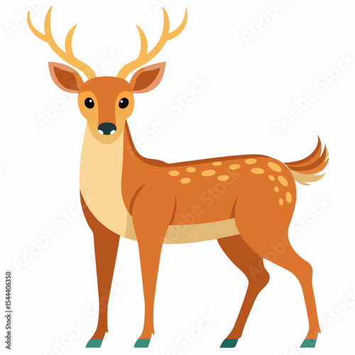 Deer on white background



