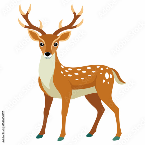 Deer on white background



