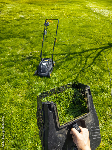 Adult man carrying container of cut grass in garden
