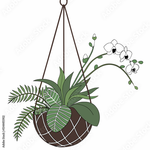 Stylized drawing of kokedama with Tradescantia zebrina hanging on white background. Botanical DIY decor with eco-friendly mood and contemporary aesthetic
