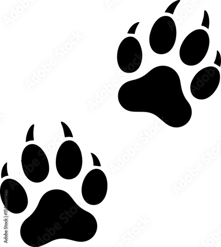 Animal Paw Prints