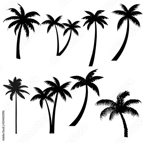 palm trees on a white background